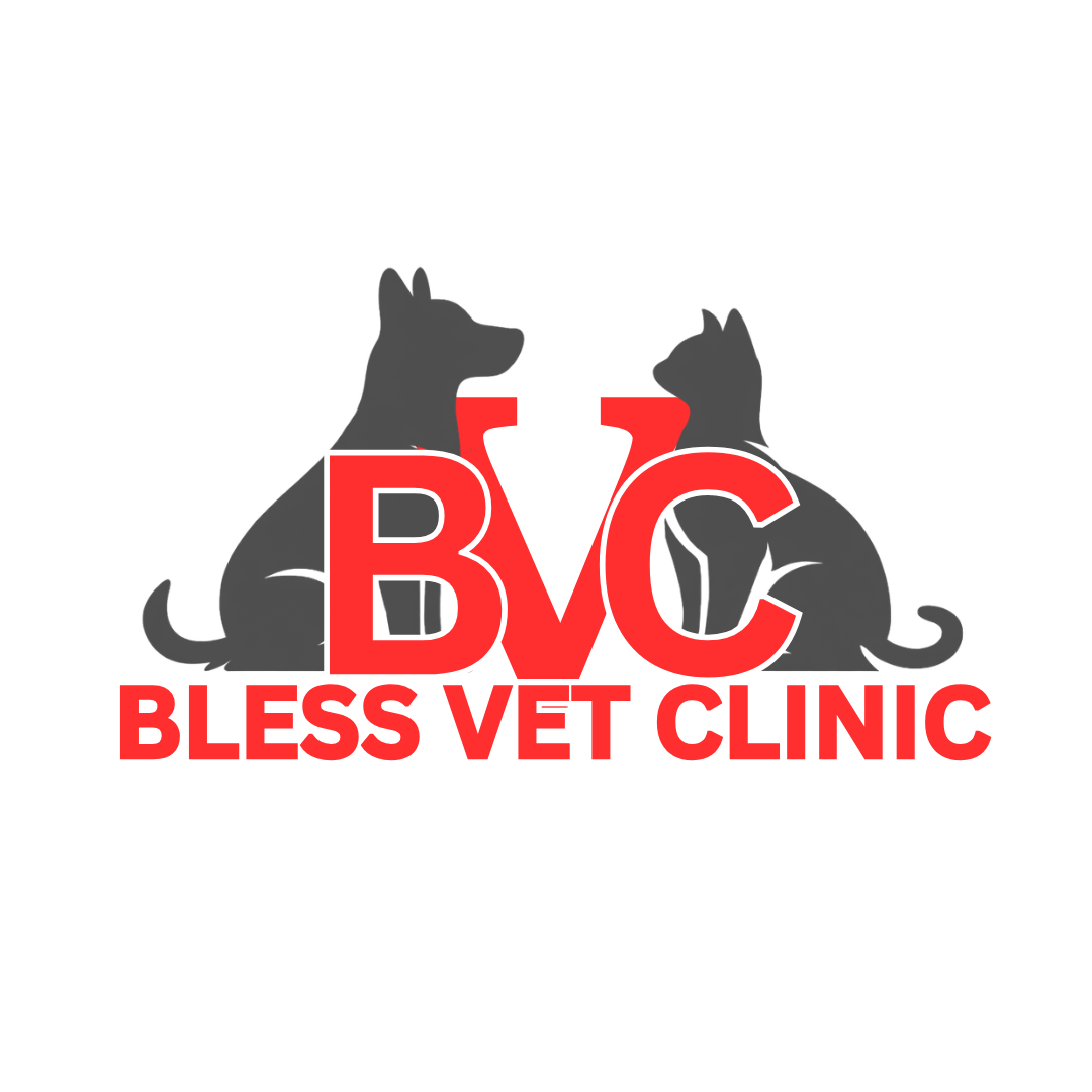 Bless Vet Clinic Kelapa Gading
