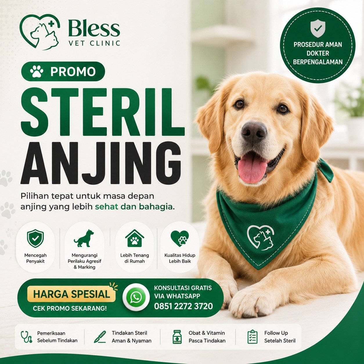 Promo steril anjing di klinik hewan Kelapa Gading