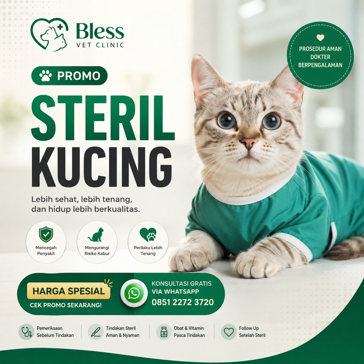 Promo steril kucing di klinik hewan Kelapa Gading